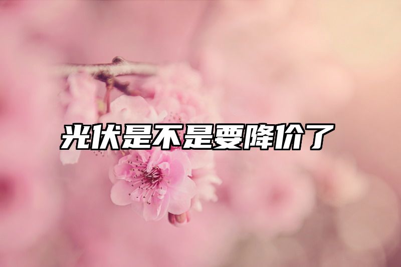 光伏是不是要降价了