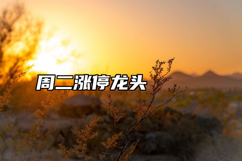 周二涨停龙头