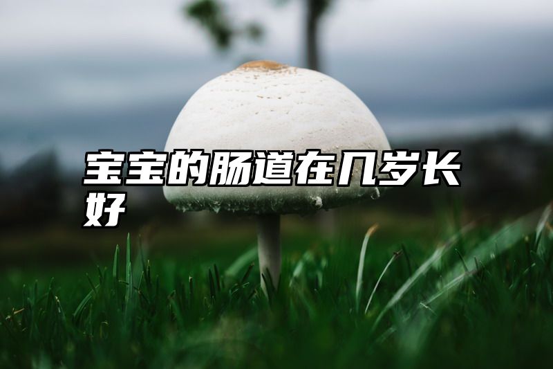 宝宝的肠道在几岁长好