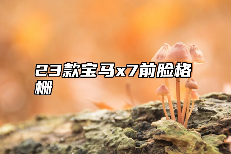 点击查看《23款宝马x7前脸格栅》全文