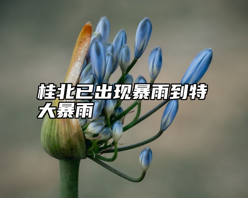 桂北已出现暴雨到特大暴雨