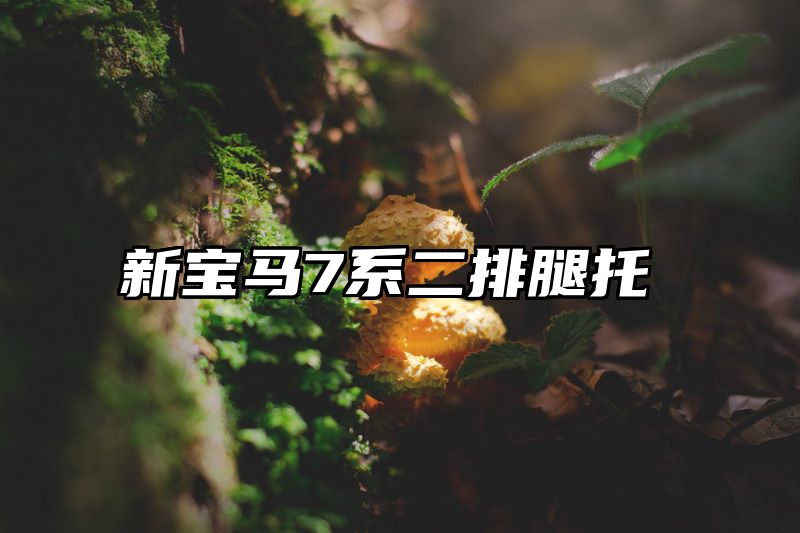 新宝马7系二排腿托