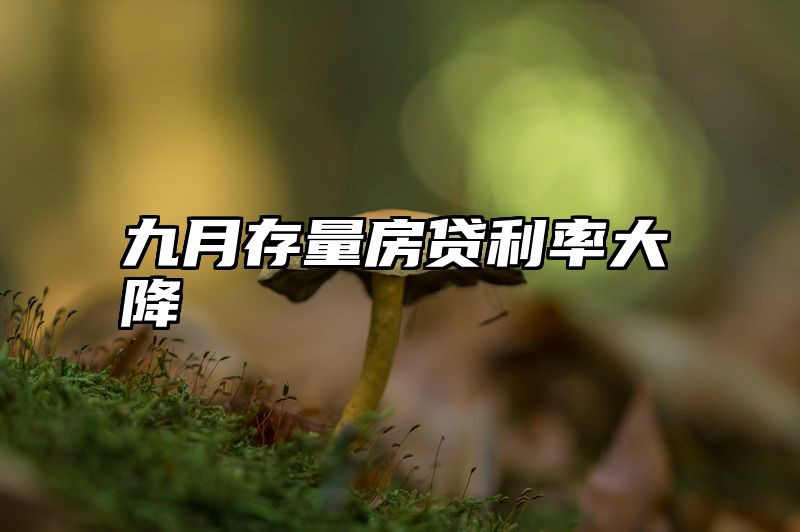 九月存量房贷利率大降