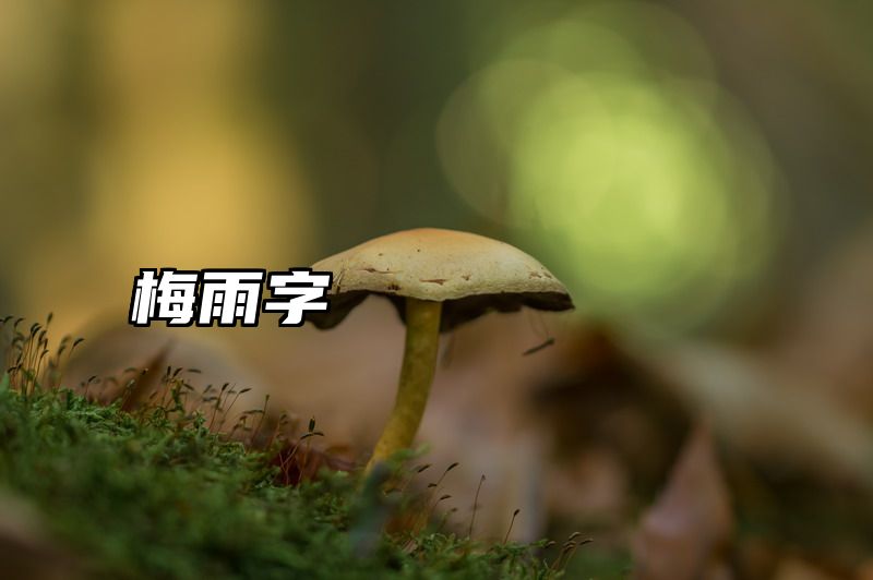 梅雨字