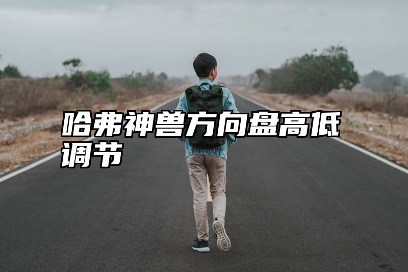 哈弗神兽方向盘高低调节