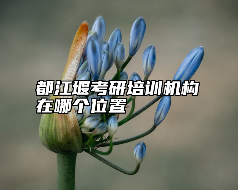 都江堰考研培训机构在哪个位置