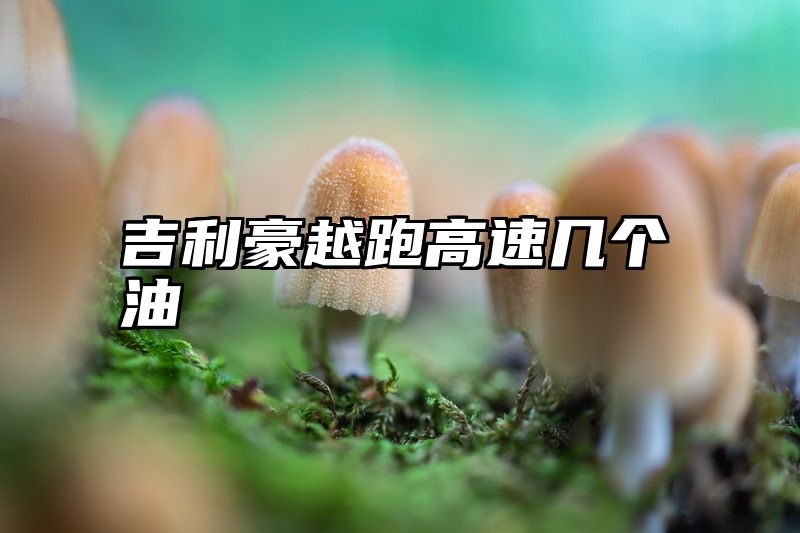 点击查看《吉利豪越跑高速几个油》全文