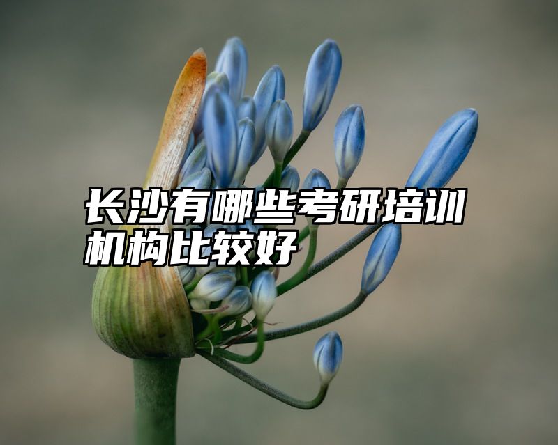 点击查看《长沙有哪些考研培训机构比较好》全文