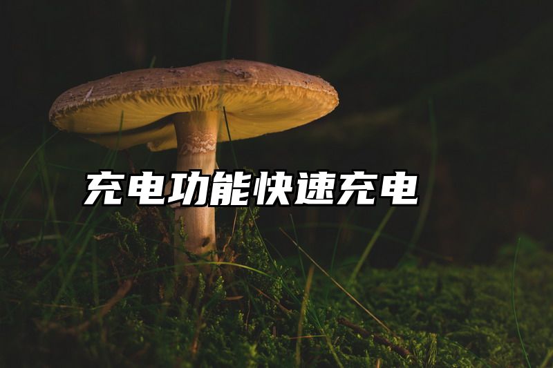 充电功能快速充电