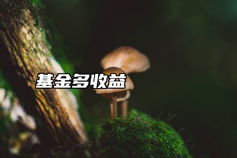 基金多收益