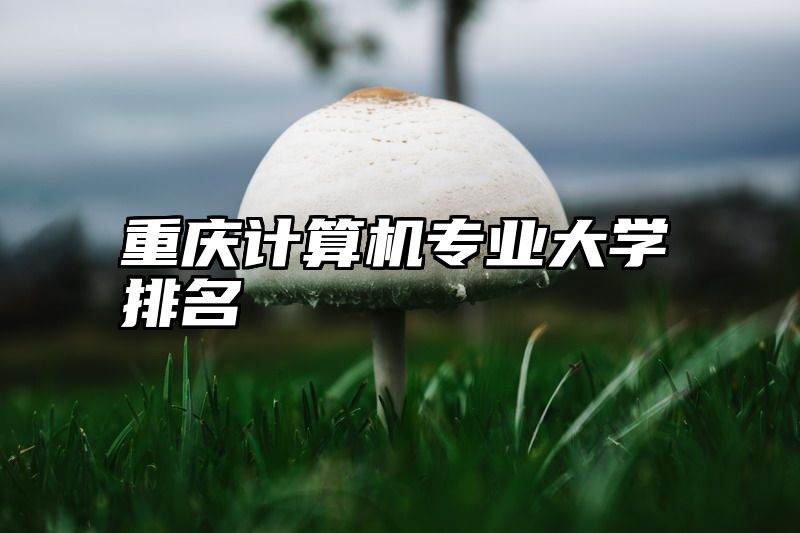 重庆计算机专业大学排名