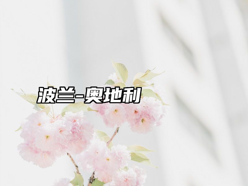 波兰-奥地利