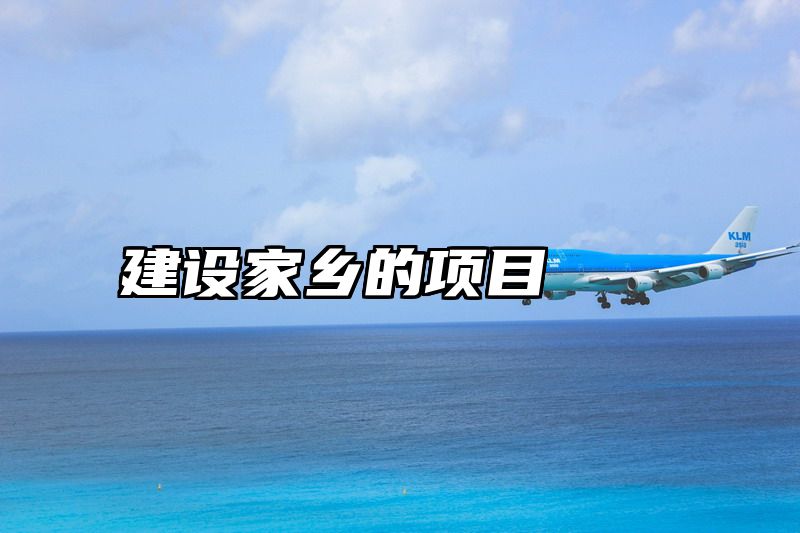 建设家乡的项目