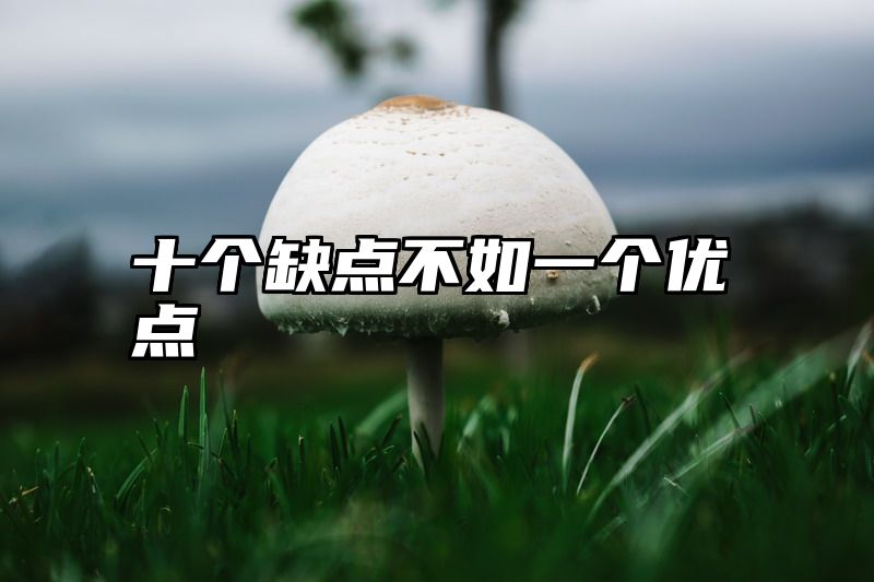 十个缺点不如一个优点