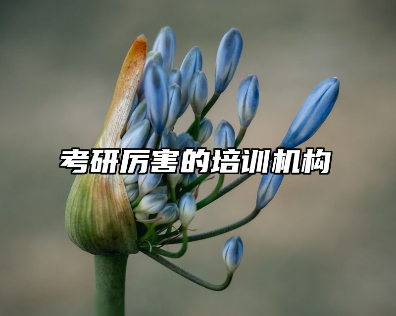 考研厉害的培训机构