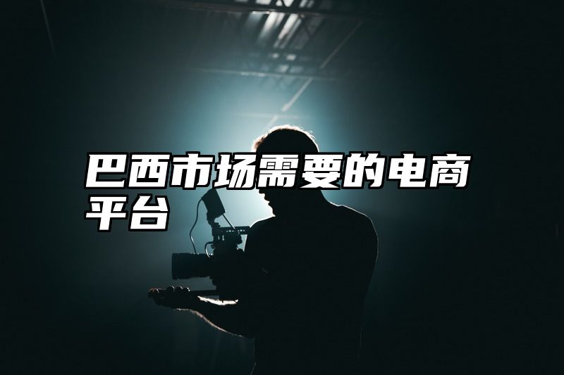 巴西市场需要的电商平台