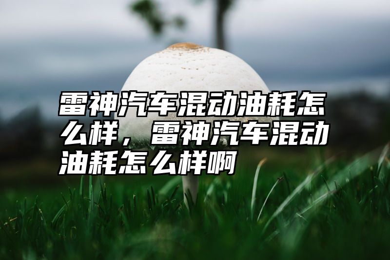 雷神汽车混动油耗怎么样，雷神汽车混动油耗怎么样啊