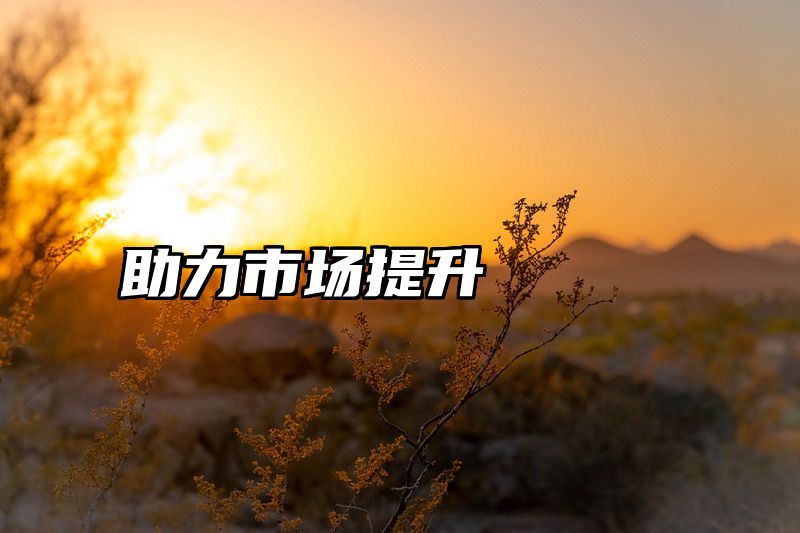 助力市场提升