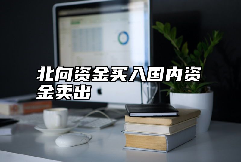 北向资金买入国内资金卖出