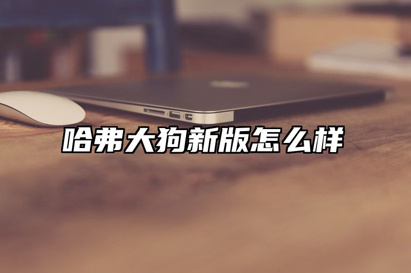 哈弗大狗新版怎么样