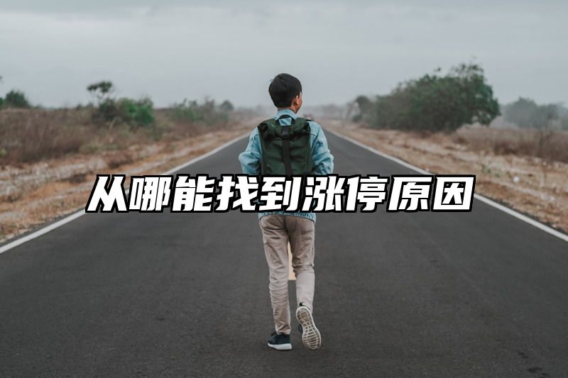 从哪能找到涨停原因