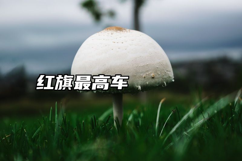 红旗最高车