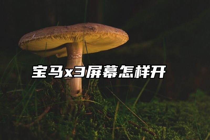 宝马x3屏幕怎样开