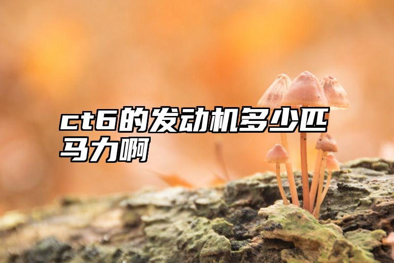 ct6的发动机多少匹马力啊