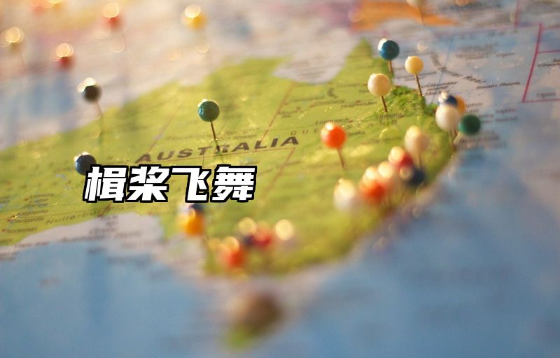 楫桨飞舞