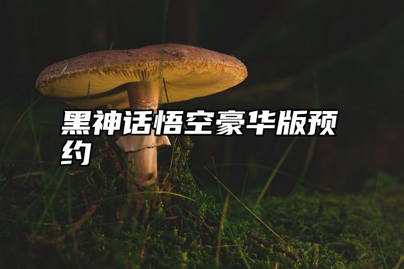 黑神话悟空豪华版预约