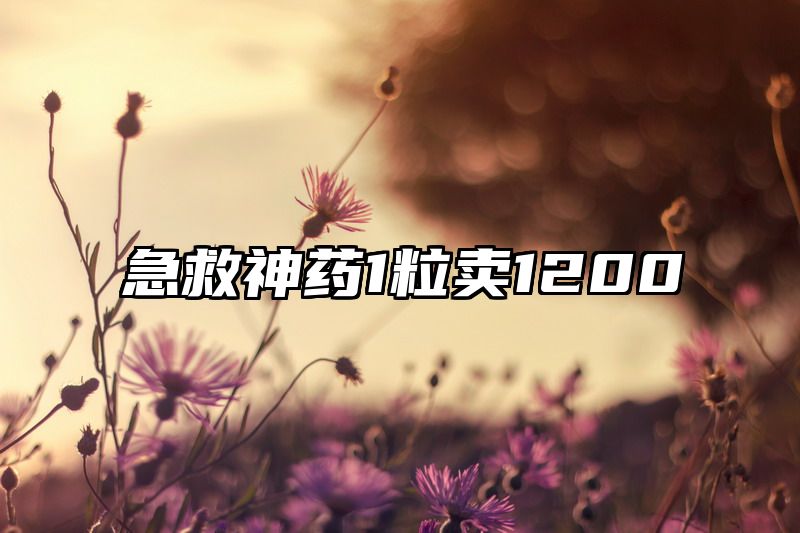 急救神药1粒卖1200