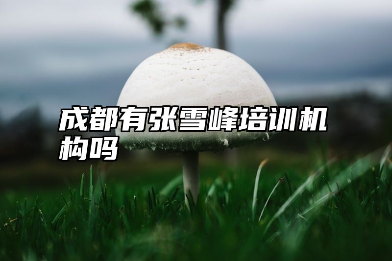 成都有张雪峰培训机构吗