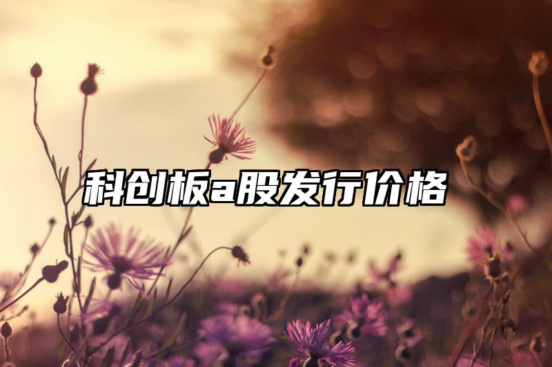 科创板a股发行价格