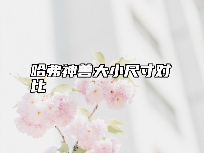 哈弗神兽大小尺寸对比