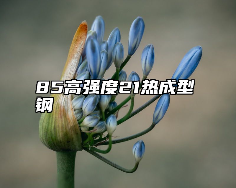 85高强度21热成型钢