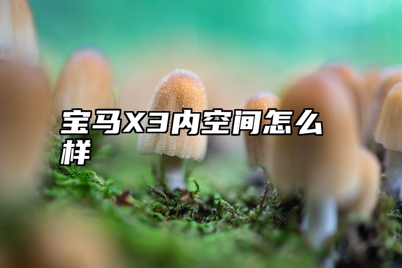 点击查看《宝马X3内空间怎么样》全文
