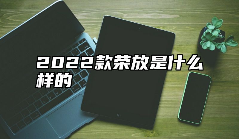 2022款荣放是什么样的