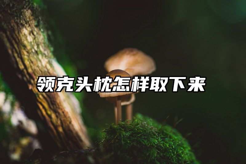 领克头枕怎样取下来