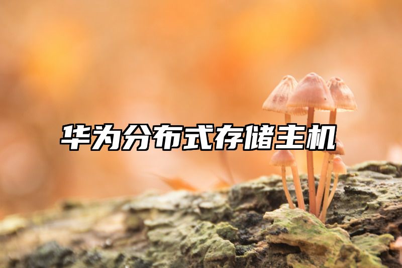 华为分布式存储主机