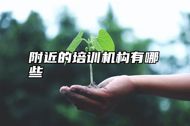 附近的培训机构有哪些
