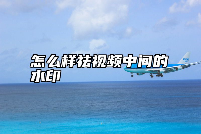 怎么样祛视频中间的水印