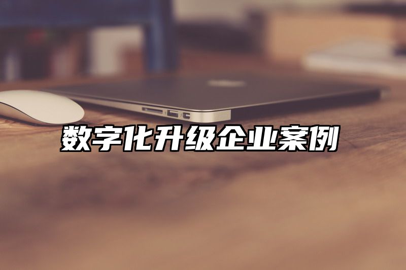 数字化升级企业案例