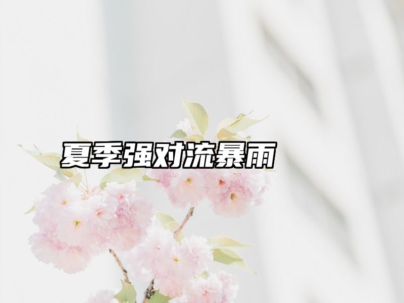 夏季强对流暴雨