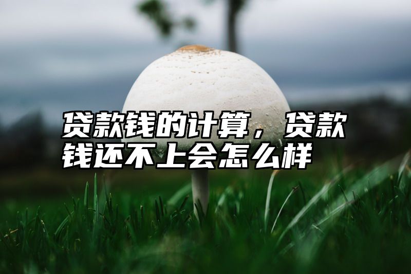 贷款钱的计算，贷款钱还不上会怎么样