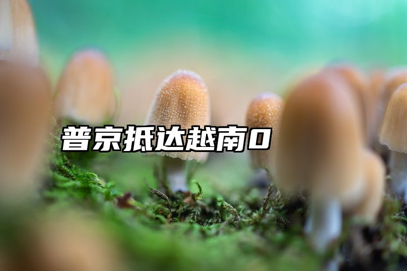 普京抵达越南0