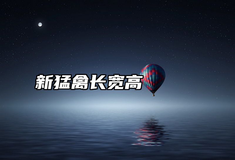 新猛禽长宽高
