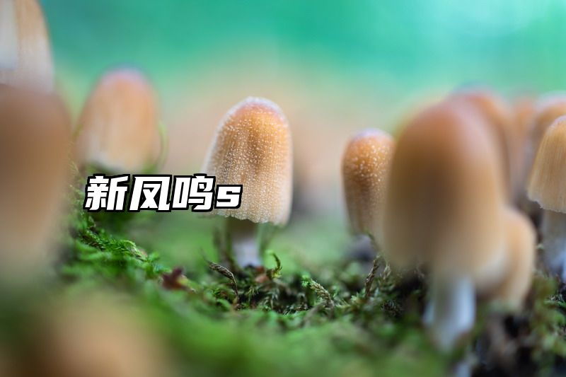 新凤鸣s