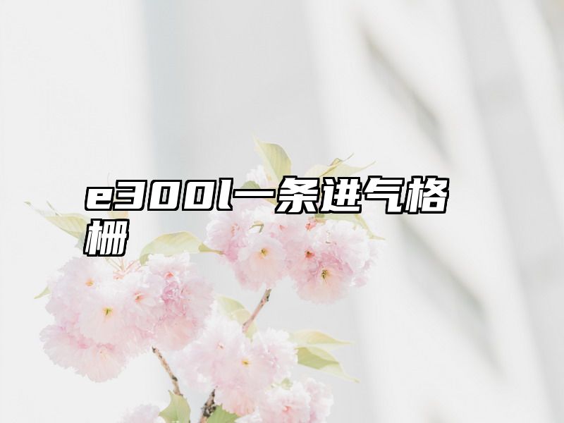 e300l一条进气格栅