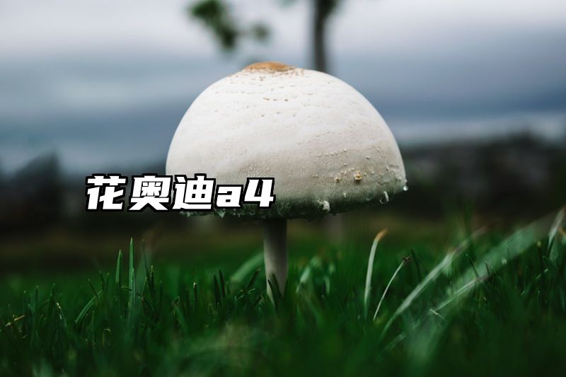 花奥迪a4