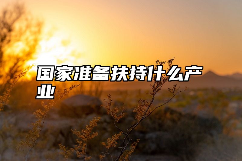 国家准备扶持什么产业
